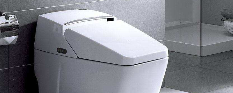 一冲马桶就会飞出小黑虫怎么办