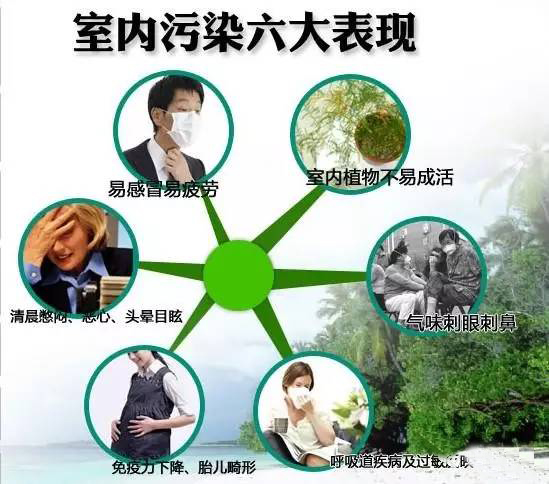 室内装修污染危害的六大经典案例