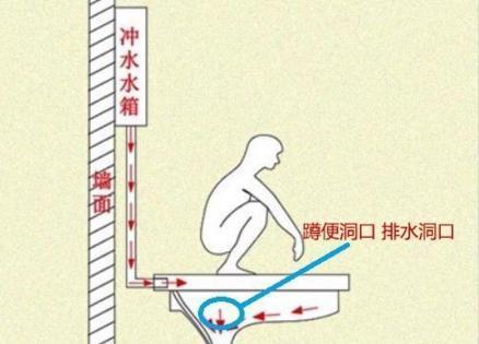 卫生间蹲便器用前排还是后排？里面门道深似海！